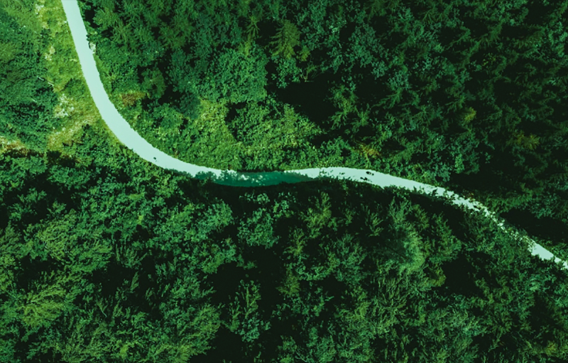 担责于身，推动绿色发展